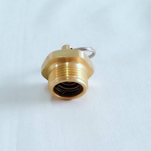 Manual drain valve